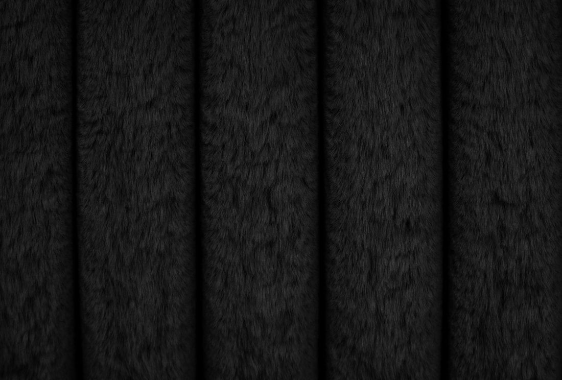 Diana Black Platform Bed - Queen